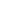 Logo_Faksnet_wh